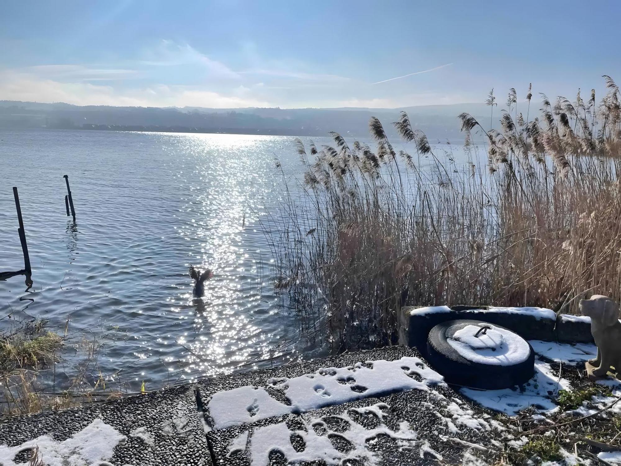 Seezauber Direkt Am Wasser Reichenau
