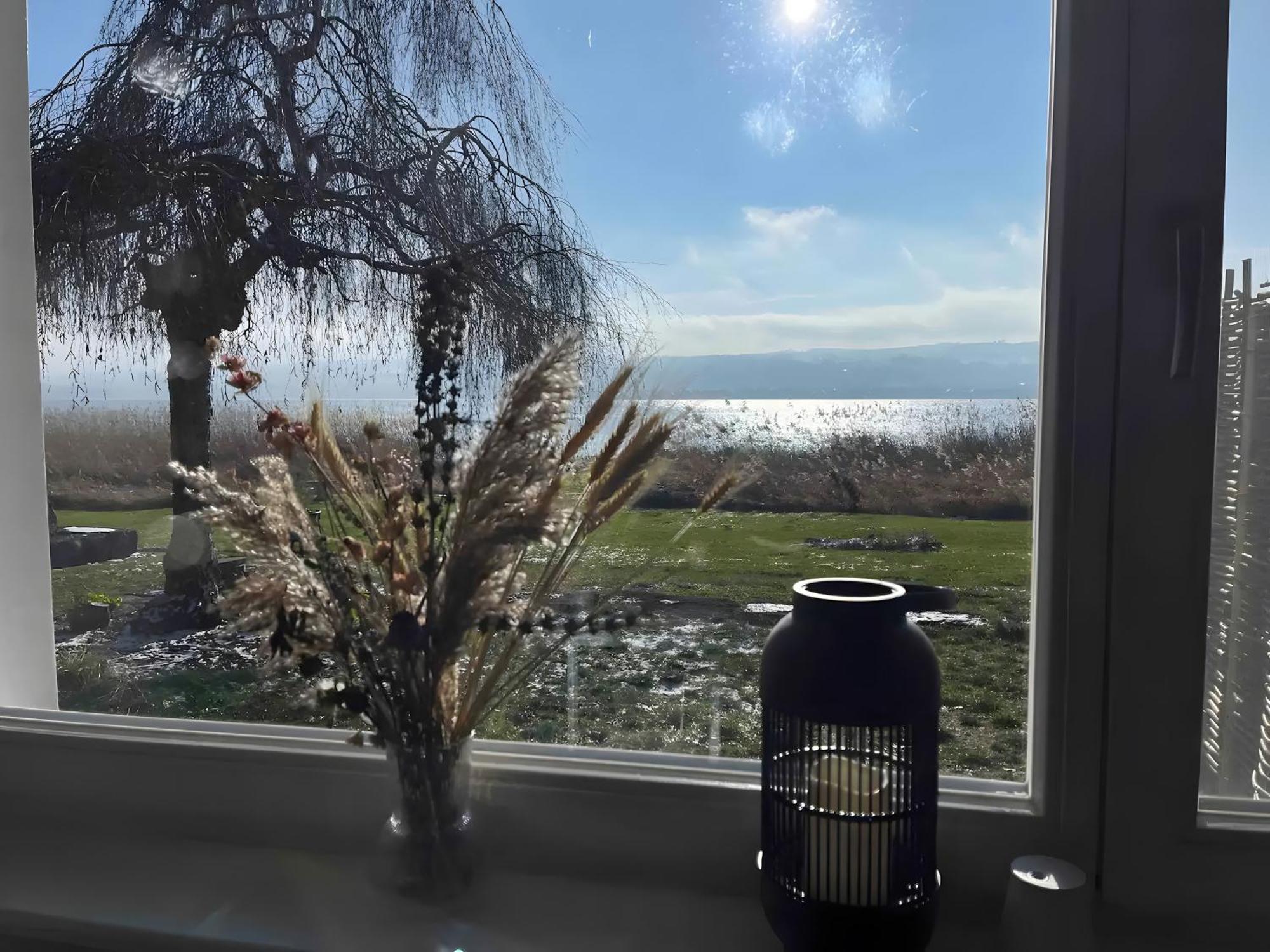 Seezauber Direkt Am Wasser Apartment *