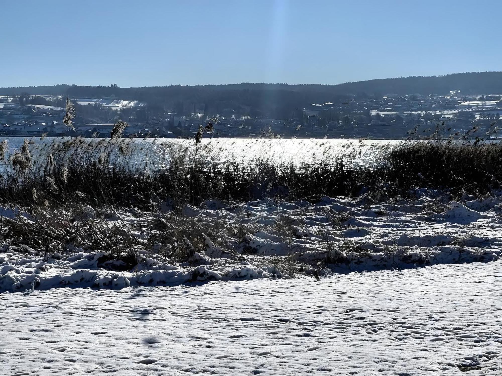 Seezauber Direkt Am Wasser Apartment Reichenau
